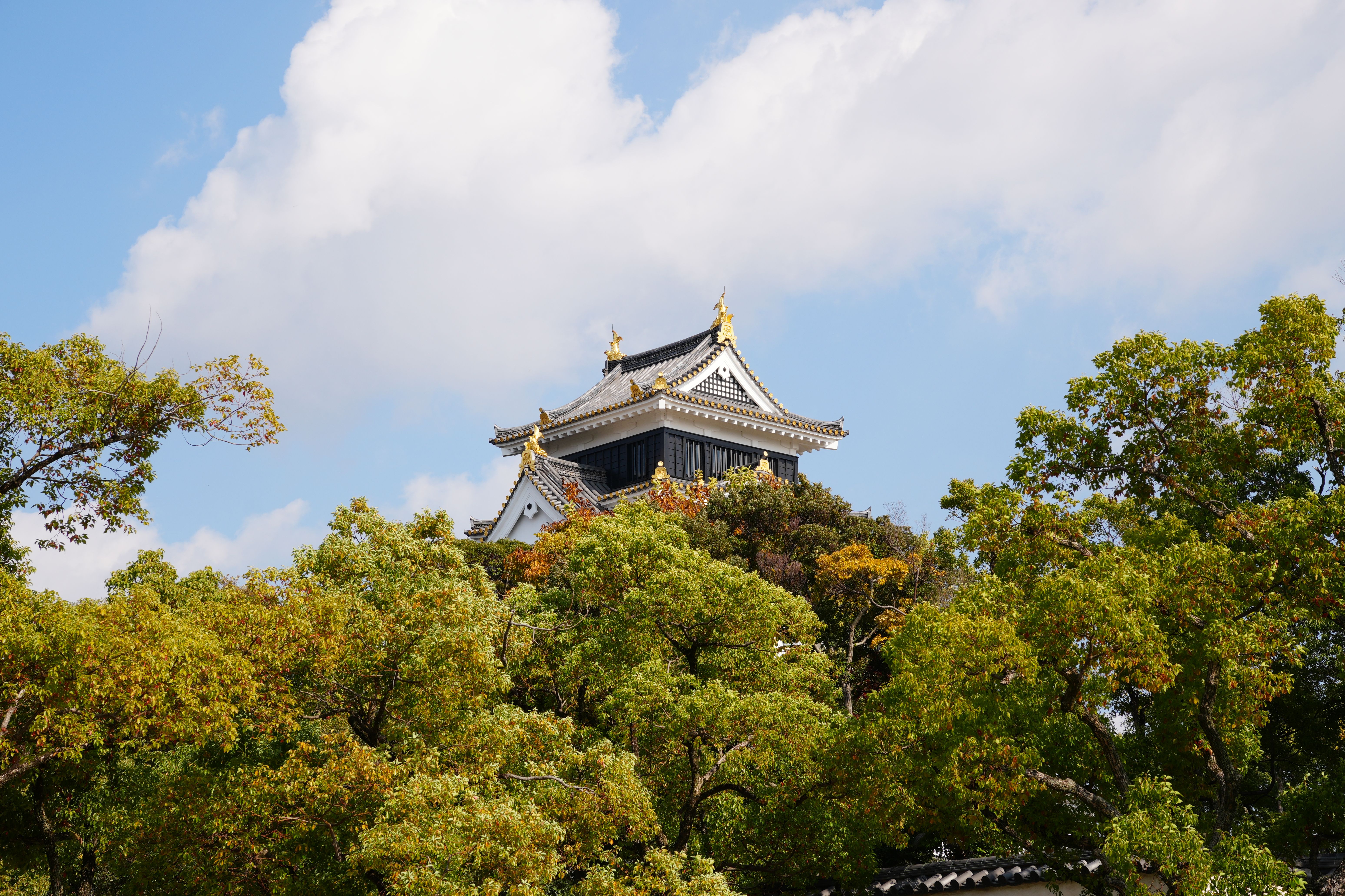 熊本の暮らし